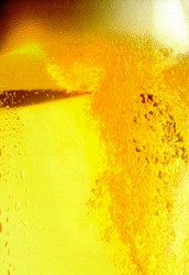 beer.jpg