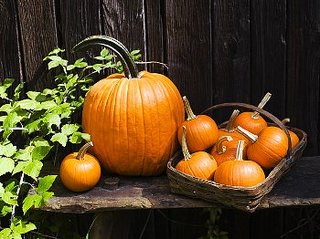halloween2.jpg