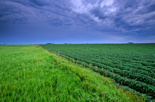 prairie.jpg