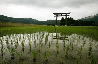 shinto2016feb01.jpg