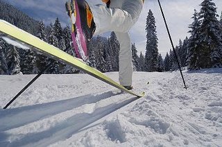 ski-sakichan.jpg